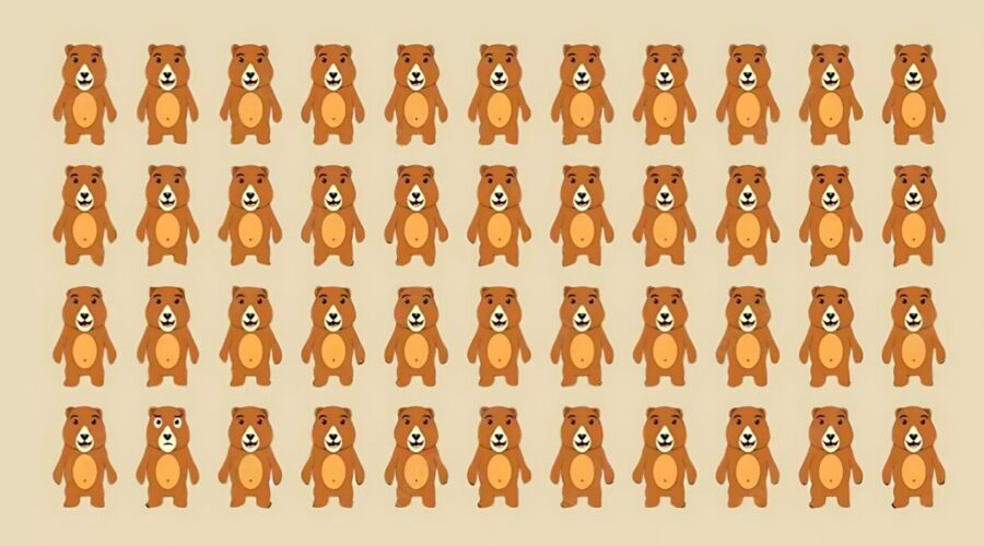 Only 1% Can Spot the Unique Bear in 8 Seconds Are Your Eyes Sharp Enough?